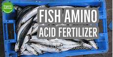 Amino Acid Based Organic Fertilizer