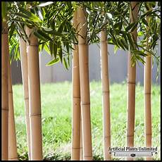 Bamboo Fertilizer