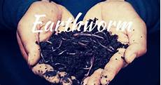Earthworm Castings