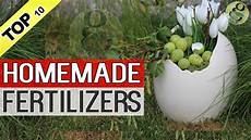 Homemade Liquid Fertilizer