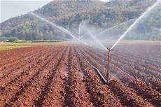 Irrigation Fertilizers