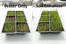 Marphyl Soil Enhancer