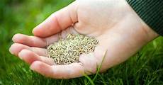 New Grass Fertilizer