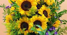 Sunflower Fertilizer