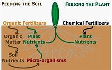 Synthetic Fertilizers