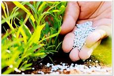 Use Of Fertilizers