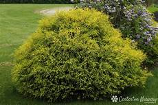 Acidic Fertilizer