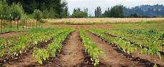 Agricultural Fertilizer