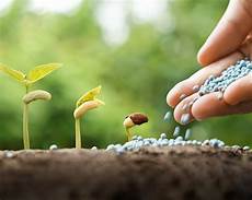 Agricultural Fertilizer