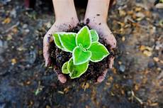 Agricultural Fertilizers