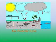 Agricultural Fertilizers