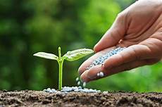 Agriculture Fertilizer