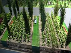 Agriculture Fertilizers