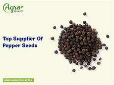Agriculture Fertilizers