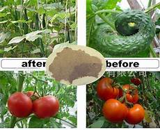 Amino Acid Fertilizers