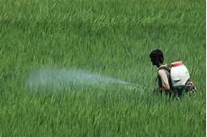Amino Acid Liquid Fertilizer
