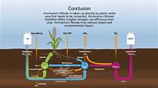 Ammonia Nitrate Fertilizer