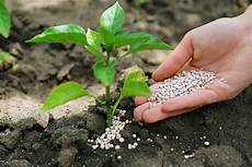 Ammonium Phosphate