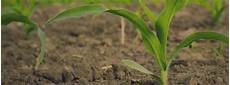 Anderson Fertilizer