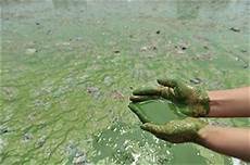 Artificial Fertilizers