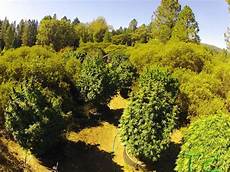 Artificial Fertilizers