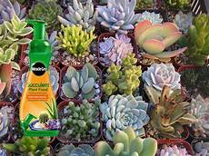 Balanced Fertilizer