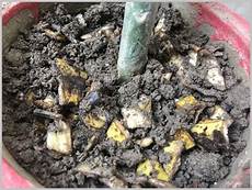 Banana Water Fertilizer