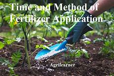 Basal Fertilizers