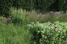 Basal Fertilizers
