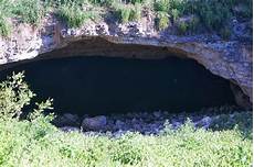Bat Fertilizer