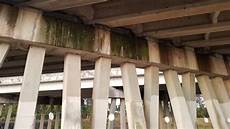 Bat Guano Fertilizer