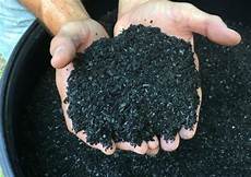 Biochar Fertilizer