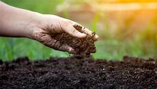 Biological Fertilizer