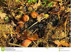 Biological Fertilizer