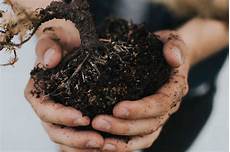 Biological Fertilizer