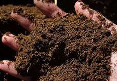 Bokashi Fertilizer