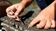 Bokashi Fertilizer