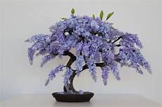 Bonsai Tree Fertilizer