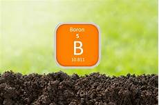 Boron Fertilizer