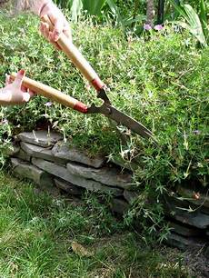 Bounce Back Fertilizer