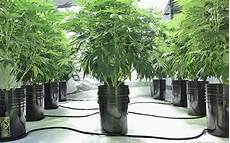 Bucket Fertilizers