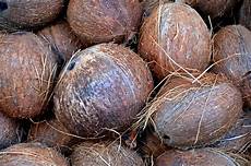 Coconut Fertilizer