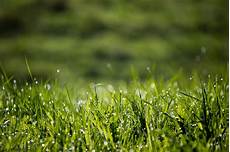 Commercial Fertilizer