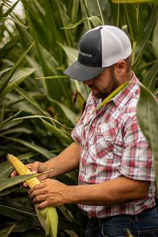 Commercial Fertilizer