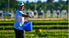 Composed Fertilizers