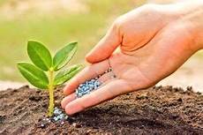 Dap Fertilizer