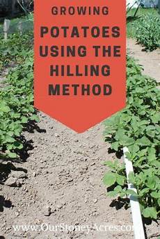 Dripping Irrigation Fertilizers