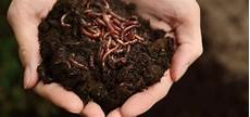 Earthworm Fertilizer