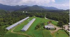 Ecological Fertilizer