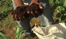 Ecological Fertilizer